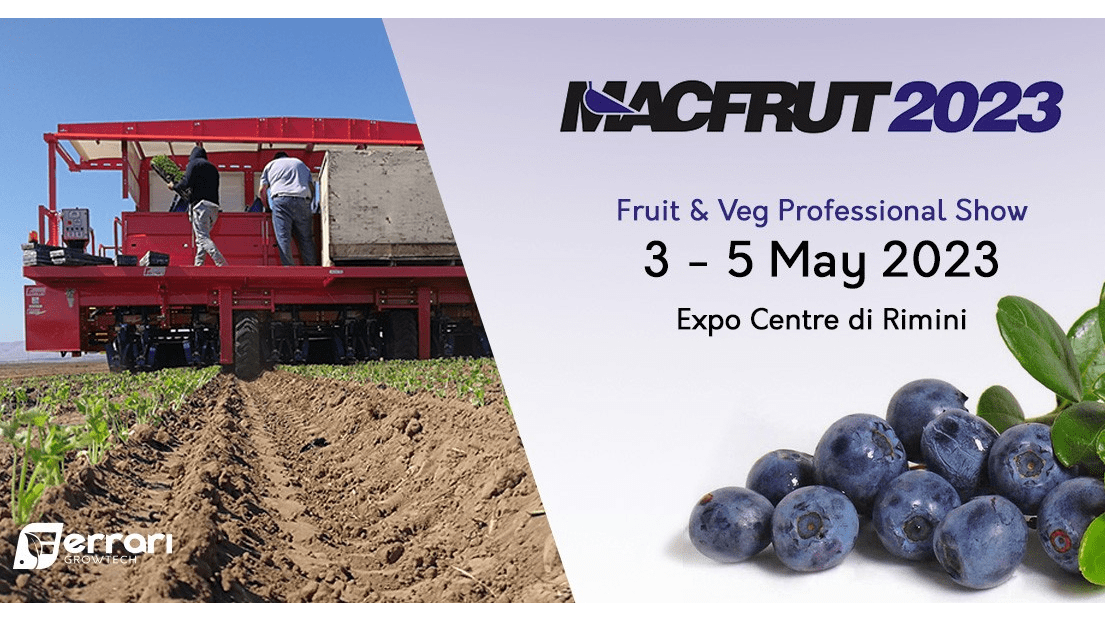 ferrari macfrut